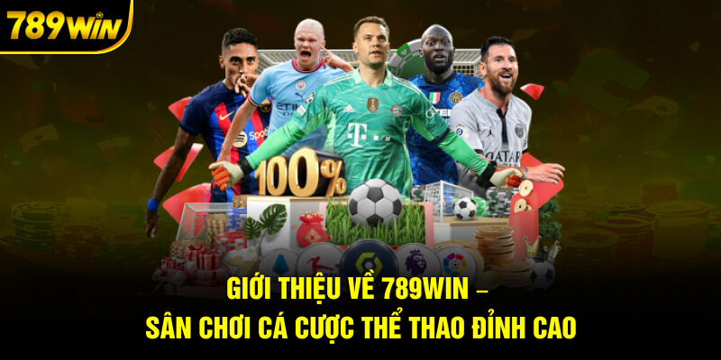 Giới thiệu về 789WIN - Sân chơi cá cược thể thao đỉnh cao